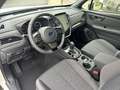 Subaru Forester 2.0i e-Boxer Luxury CVT | Safe8 Weiß - thumbnail 23