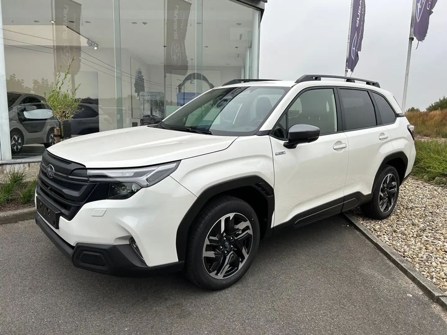 Subaru Forester 2.0i e-Boxer Luxury CVT | Safe8 | GEEN BIV + STOCK Blanc - 1