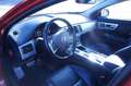 Jaguar XF 2.2 Diesel Premium Luxury Aut. Rojo - thumbnail 5
