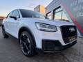 Audi Q2 30 TFSI sport S-Line Weiß - thumbnail 12