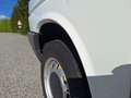 Volkswagen T4 Multivan Aufstelldach /Campingausbau Weiß - thumbnail 11