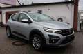 Dacia Sandero Stepway 1.0TCe Comfort LPG LED*PDC/85788 Grau - thumbnail 10