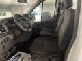 Ford Transit 350L3 CASSONE FISSO 2.0TDCI 130CV TREND Beyaz - thumbnail 8