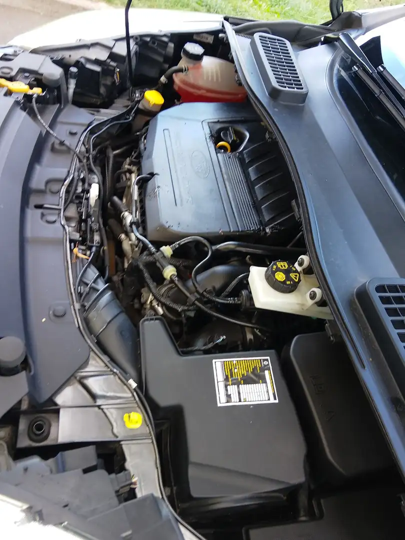 Ford Kuga 1.5 EcoBoost 2x4 Cool & Connect - 2