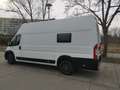 Peugeot Boxer L4H3 Wohnmobil/Camperausbau - thumbnail 4