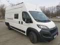 Peugeot Boxer L4H3 Wohnmobil/Camperausbau - thumbnail 2