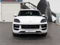 Porsche Cayenne E-Hybrid Aut. Blanco - thumbnail 7