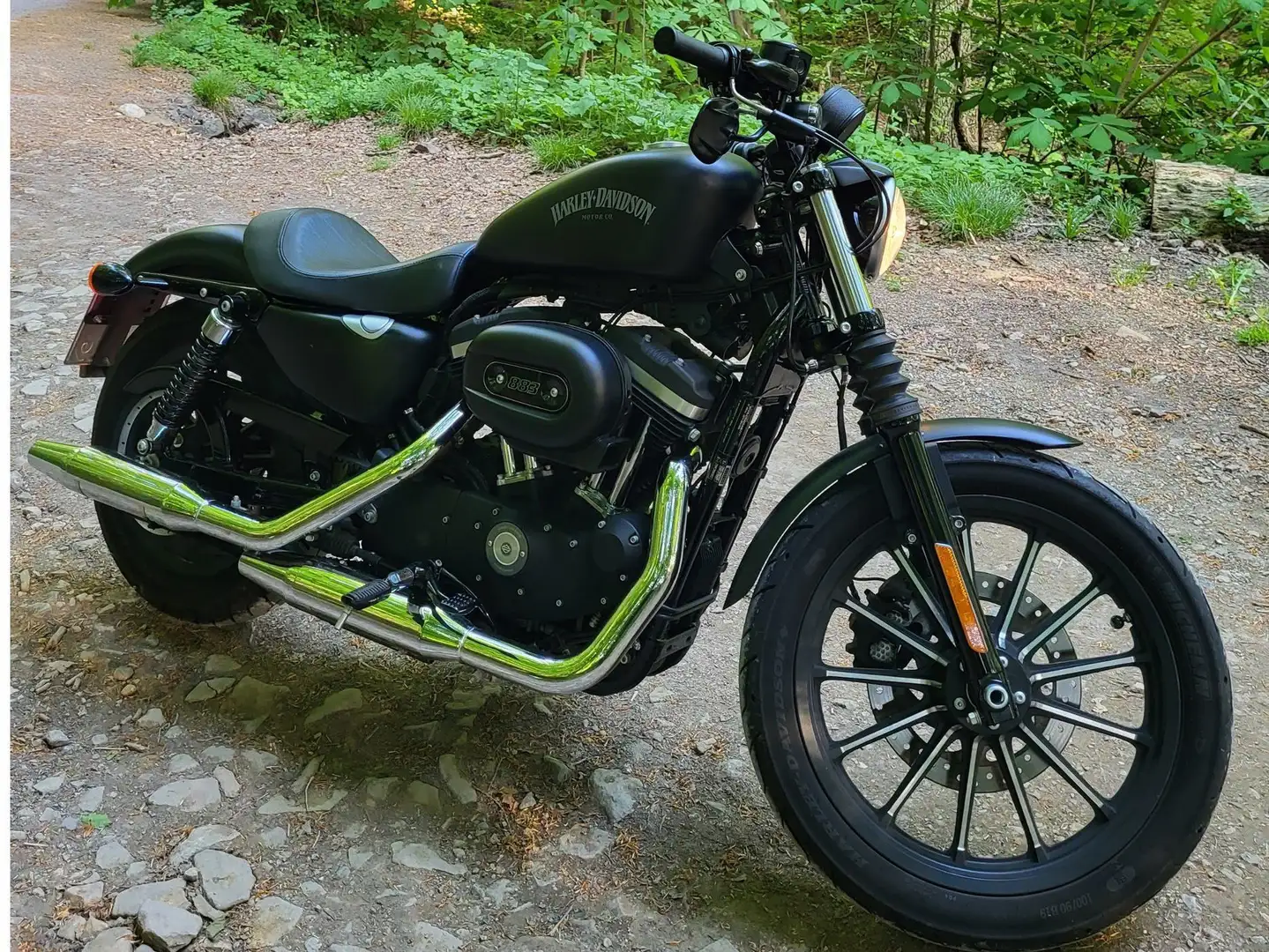 Harley-Davidson Iron 883 Sportster Negru - 2