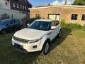 Land Rover Range Rover Evoque eD4 Dynamic - thumbnail 3