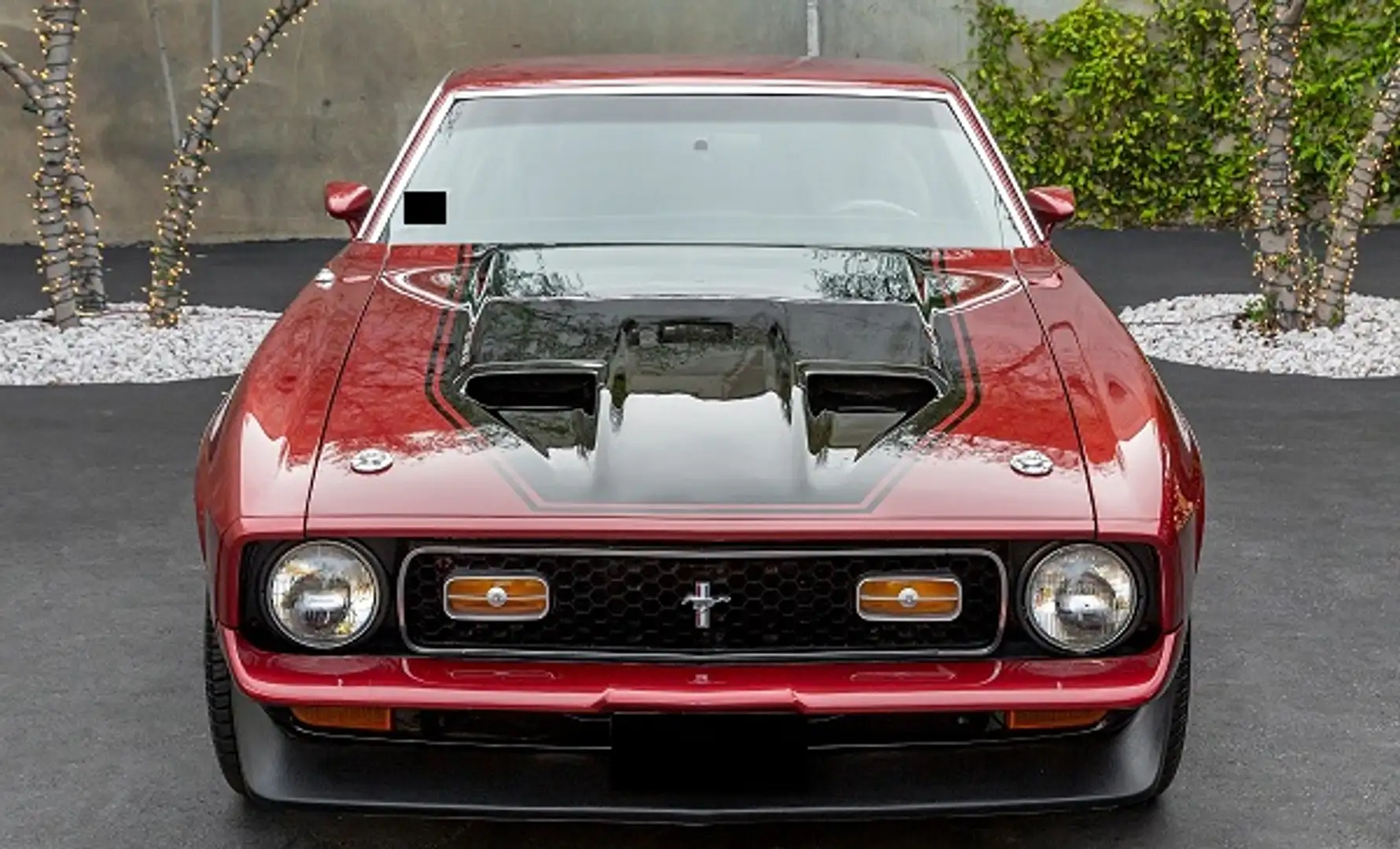 Ford Mustang Mach 1 - 2