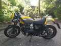 Triumph Street Cup Geel - thumbnail 2