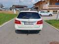 Mercedes-Benz E 350 E 350 T Elegance A-Edition 4MATIC CDI Aut. Elegance A-Edition Weiß - thumbnail 3