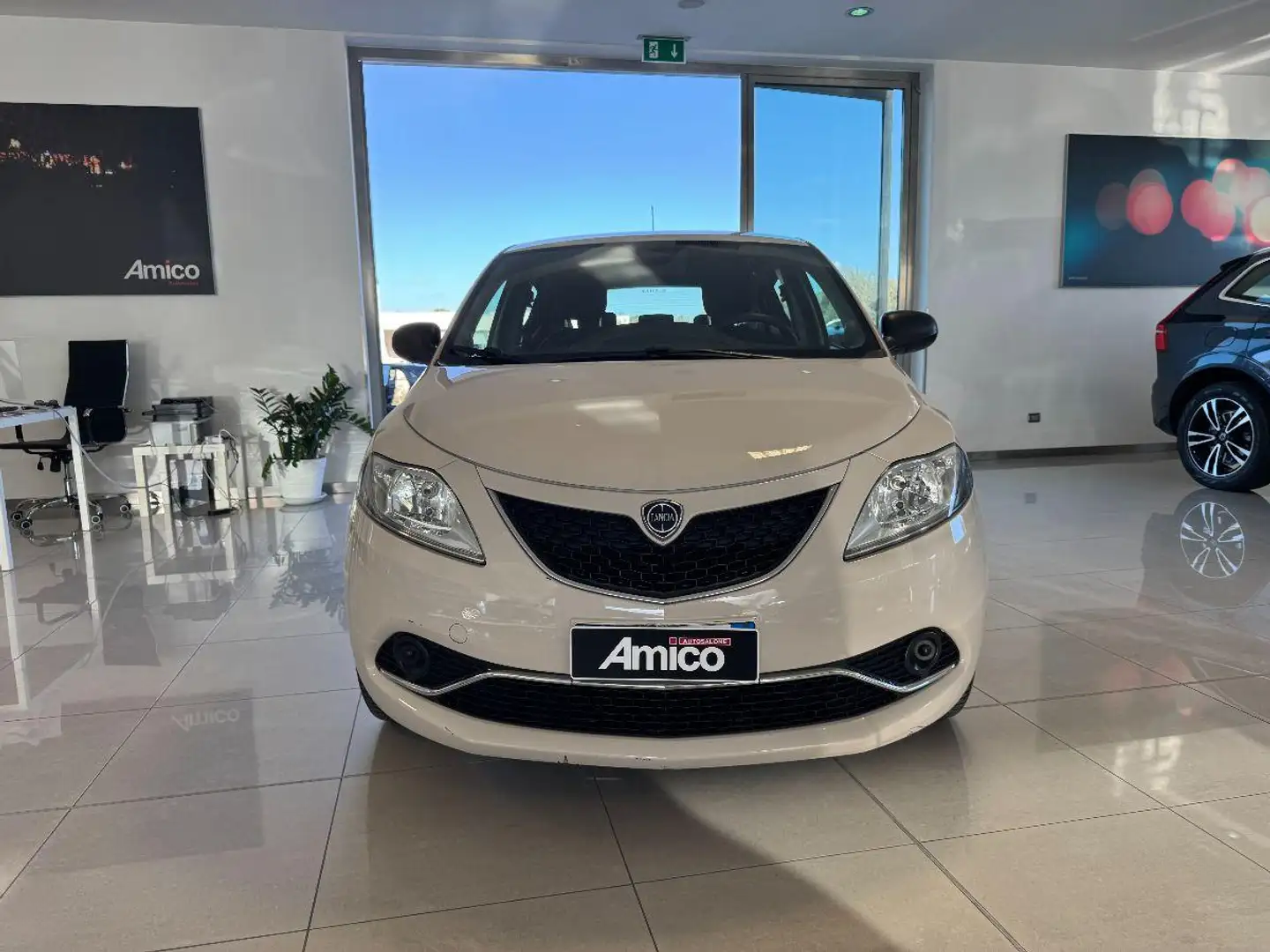 Lancia Ypsilon 1.2 69 CV 5 porte Gold Beige - 2