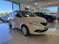 Lancia Ypsilon 1.2 69 CV 5 porte Gold Beige - thumbnail 3