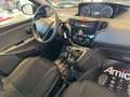 Lancia Ypsilon 1.2 69 CV 5 porte Gold Beige - thumbnail 11