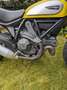 Ducati Scrambler Icon 800 Gelb - thumbnail 10