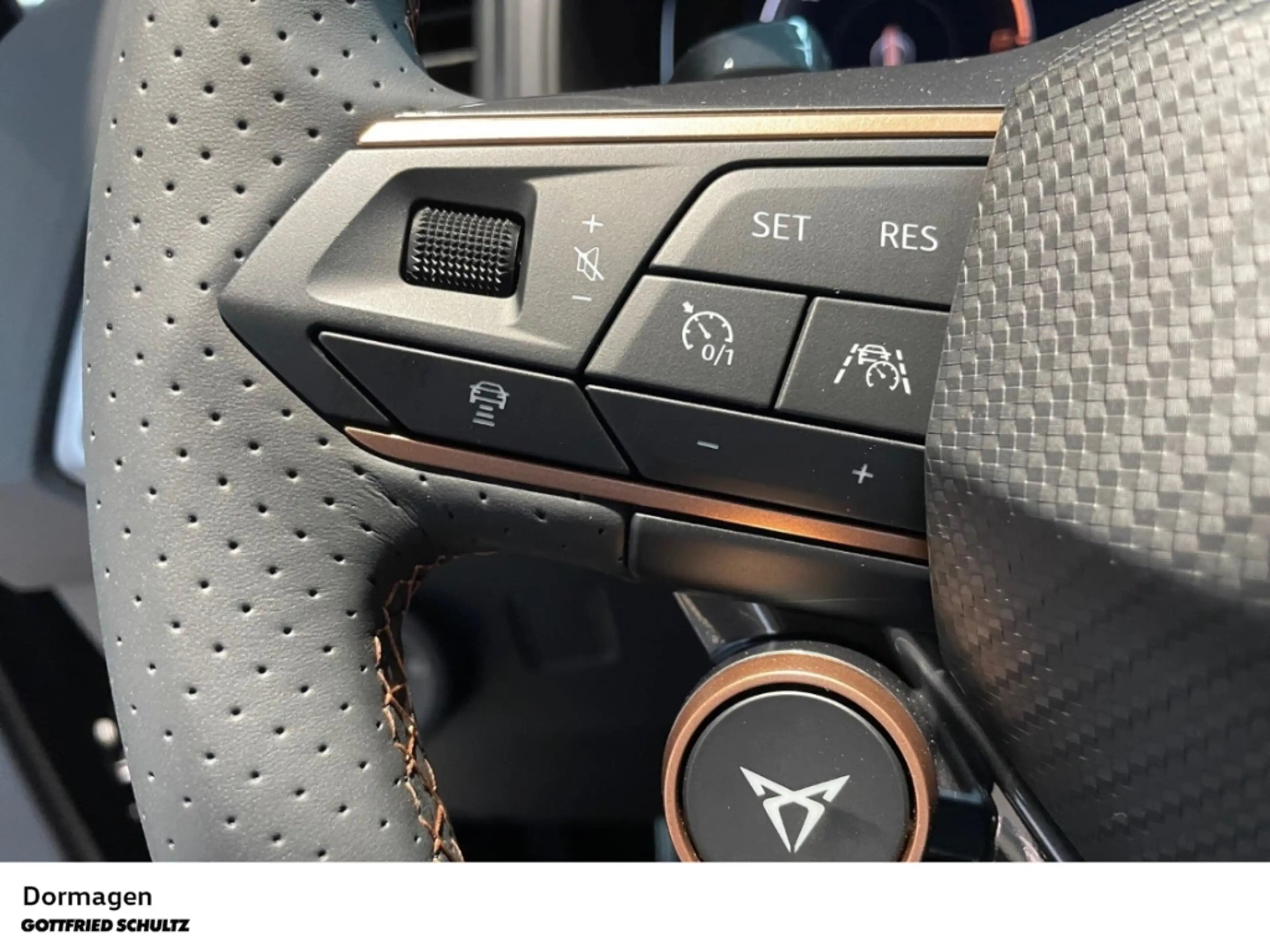 CUPRA Ateca Tribe Edition 2.0 TSI DSG 4Drive AHK KAMERA NAVI — photo 14
