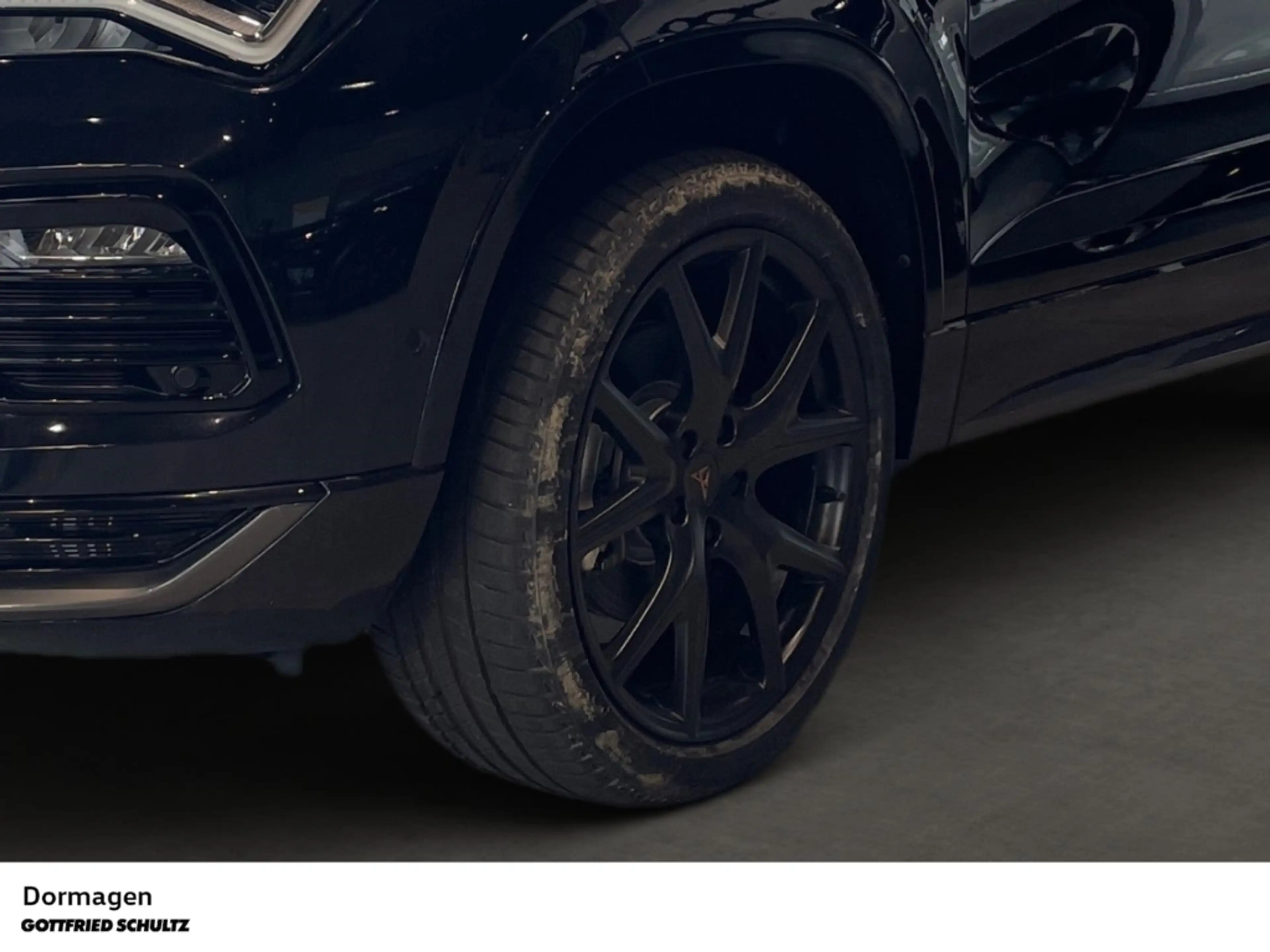 CUPRA Ateca Tribe Edition 2.0 TSI DSG 4Drive AHK KAMERA NAVI — photo 9