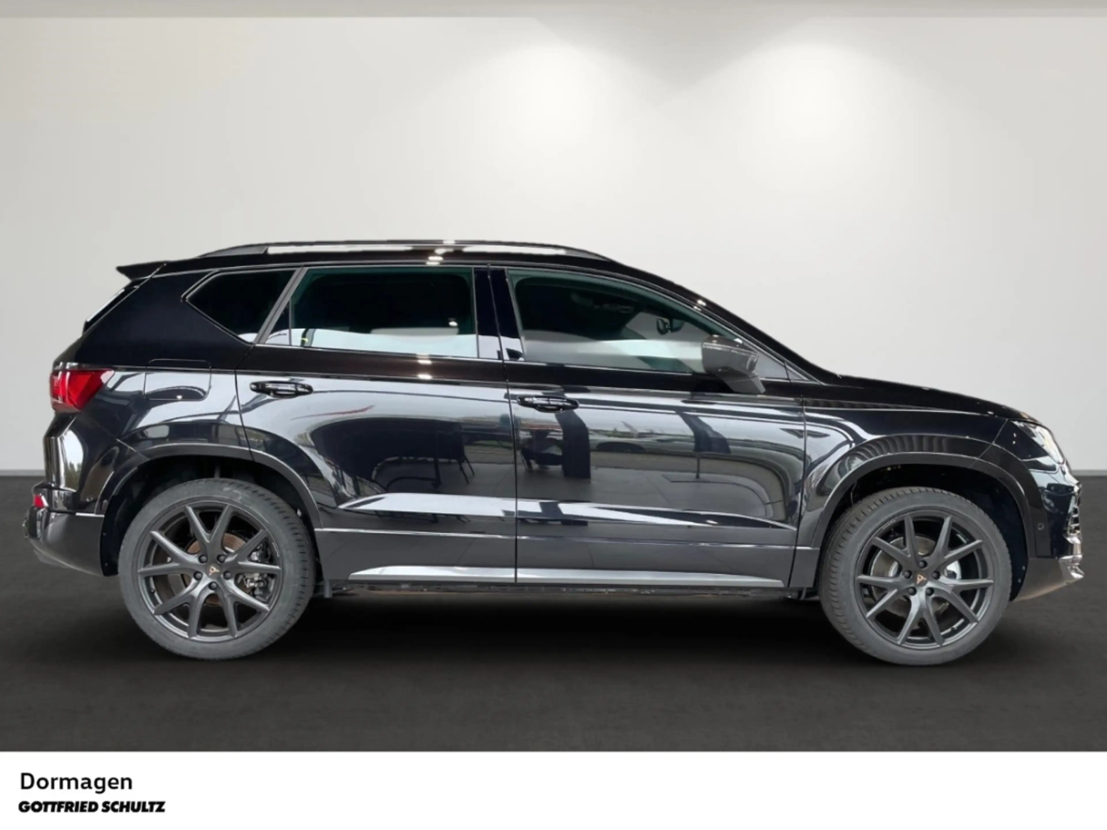 CUPRA Ateca Tribe Edition 2.0 TSI DSG 4Drive AHK KAMERA NAVI — photo 3