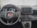 Fiat Panda /Pandina Hybrid 70 Weiß - thumbnail 14