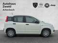 Fiat Panda /Pandina Hybrid 70 Weiß - thumbnail 7