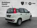 Fiat Panda /Pandina Hybrid 70 Weiß - thumbnail 6