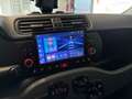 Fiat Panda Panda City Cross 1.0 FireFly Hybrid 70cv S&S 5p.ti Grijs - thumbnail 14