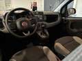 Fiat Panda Panda City Cross 1.0 FireFly Hybrid 70cv S&S 5p.ti Gris - thumbnail 8