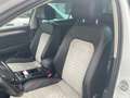 Volkswagen Passat Variant SCR Highline TDI 4Motion DSG Weiß - thumbnail 8