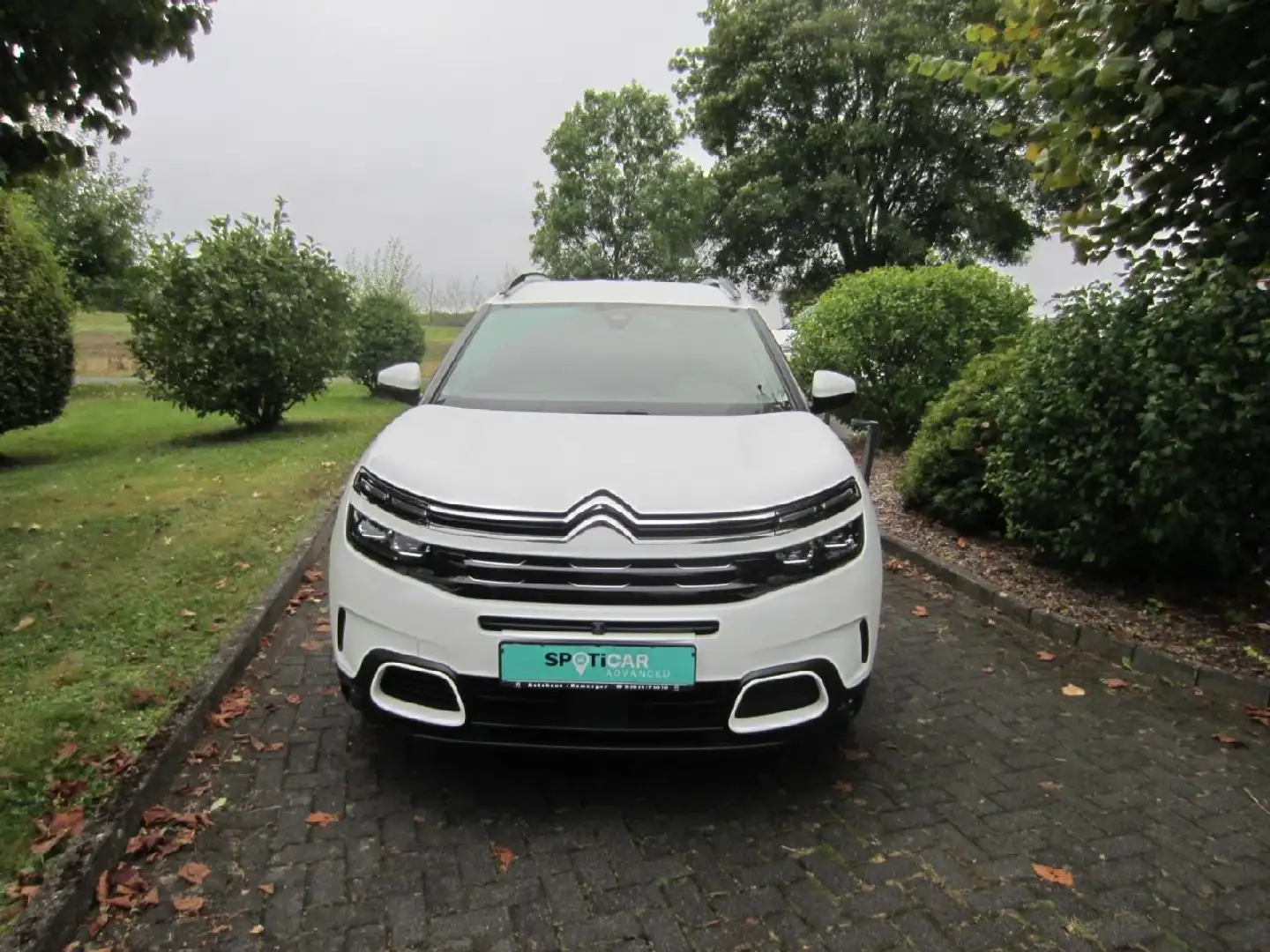 Citroen C5 Aircross Shine Weiß - 1