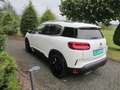 Citroen C5 Aircross Shine Weiß - thumbnail 6