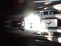 Ferrari 12 Cilindri 12Cilindri Tailor Made Grau - thumbnail 22