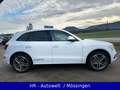Audi Q5 2.0 TDI 140 kW Quattro*S-Line Sport Plus*AHK* Weiß - thumbnail 8
