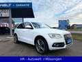 Audi Q5 2.0 TDI 140 kW Quattro*S-Line Sport Plus*AHK* Weiß - thumbnail 3