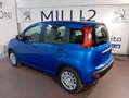 Fiat New Panda 1.0 70cv FireFly Hybrid KM ZERO!!!! Blu/Azzurro - thumbnail 5