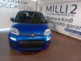Fiat New Panda 1.0 70cv FireFly Hybrid KM ZERO!!!! Blu/Azzurro - thumbnail 11