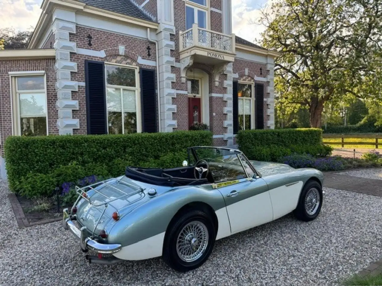 Austin-Healey 3000 MK3 Ice Blue Old English White, foto 7