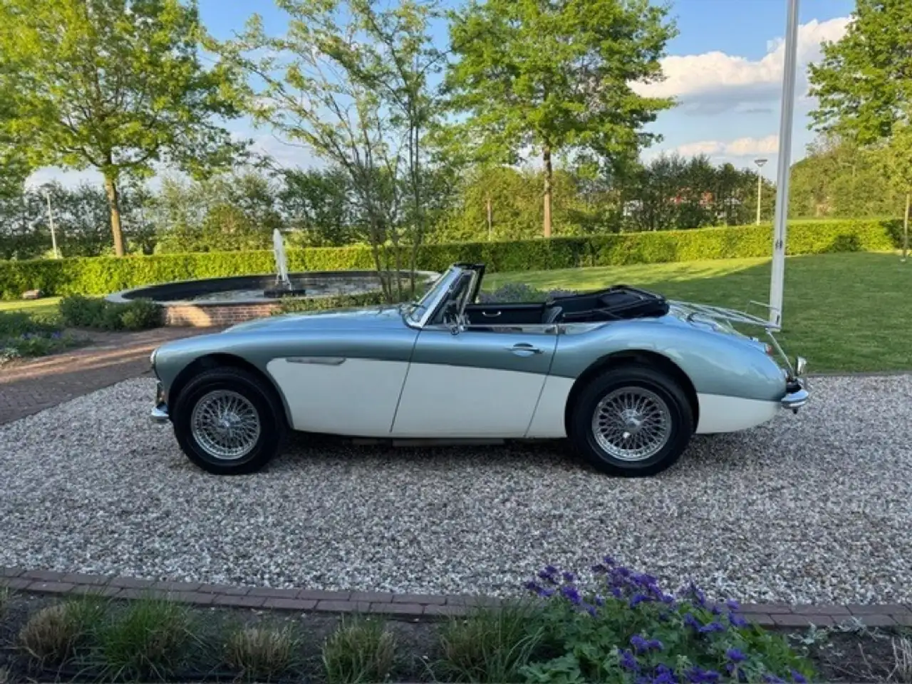 Austin-Healey 3000 MK3 Ice Blue Old English White, foto 2