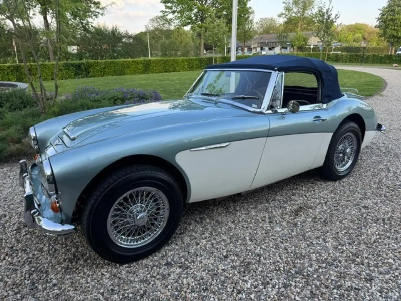 Austin-Healey 3000 MK3 Ice Blue Old English White, foto 4