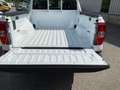 Ford Ranger Doppelkabine XL 4x4 NEUWAGENAKTION Weiß - thumbnail 23