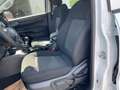 Ford Ranger Doppelkabine XL 4x4 NEUWAGENAKTION Weiß - thumbnail 20