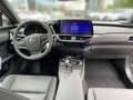Lexus UX 300h 2.0 Hybrid F-Sport Design LED SHZ Gri - thumbnail 8
