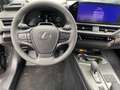 Lexus UX 300h 2.0 Hybrid F-Sport Design LED SHZ Gri - thumbnail 9