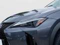 Lexus UX 300h 2.0 Hybrid F-Sport Design LED SHZ Gri - thumbnail 14