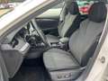 Skoda Octavia 2.0 TDI DSG First Edt.+ACC+KAMERA+NAVI Blanco - thumbnail 5