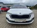 Skoda Octavia 2.0 TDI DSG First Edt.+ACC+KAMERA+NAVI Blanco - thumbnail 18