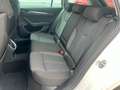 Skoda Octavia 2.0 TDI DSG First Edt.+ACC+KAMERA+NAVI Blanco - thumbnail 14