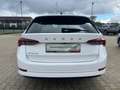 Skoda Octavia 2.0 TDI DSG First Edt.+ACC+KAMERA+NAVI Blanco - thumbnail 19