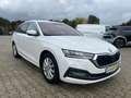 Skoda Octavia 2.0 TDI DSG First Edt.+ACC+KAMERA+NAVI Blanco - thumbnail 17