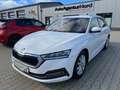 Skoda Octavia 2.0 TDI DSG First Edt.+ACC+KAMERA+NAVI Blanco - thumbnail 1
